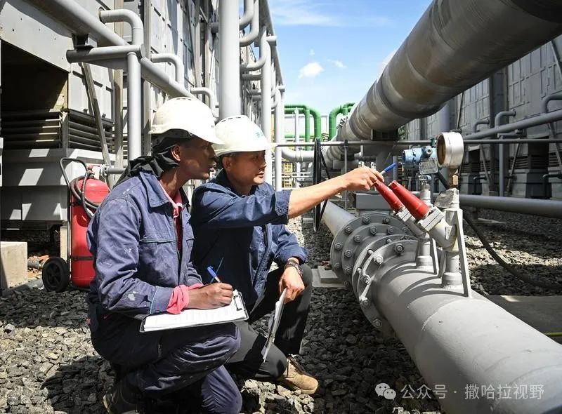 彩神vll官网·(中国)首页大厅