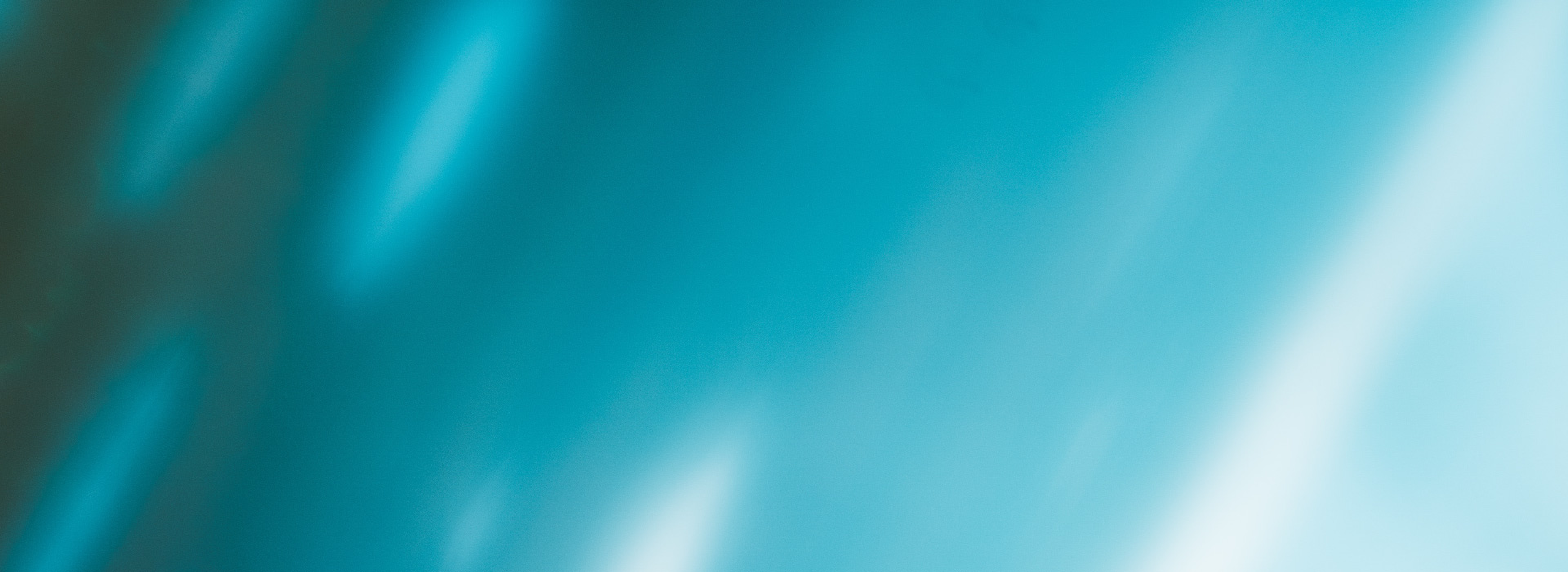 彩神vll官网·(中国)首页大厅